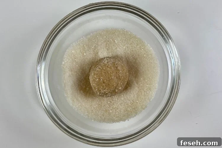 Cookies With Cinnamon and Sugar