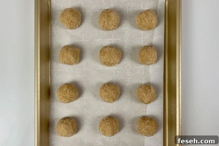 Cinnamon Sugar Cookies Recipe