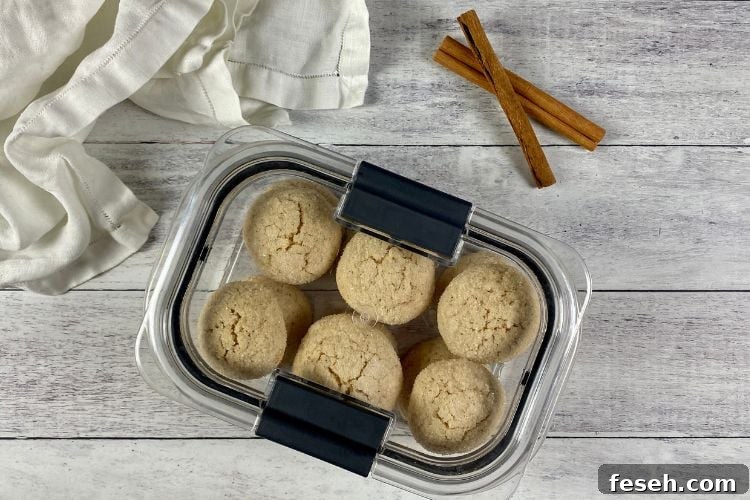 Cinnamon Sugar Cookies