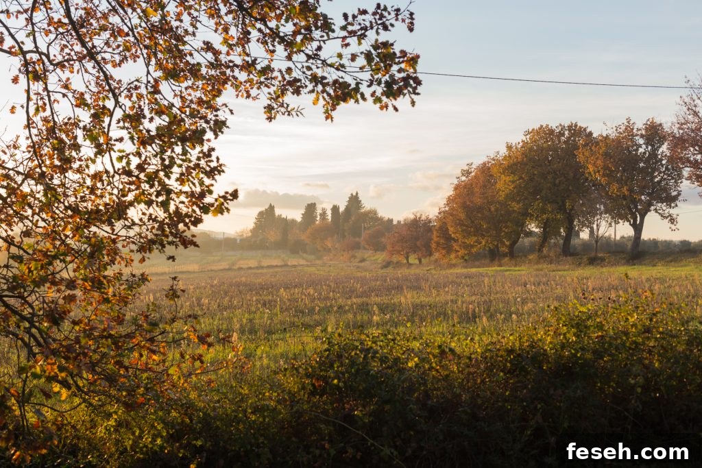 Tuscan countryside