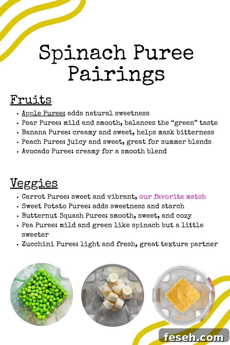 10-Minute Spinach Purée for Babies: Smooth, Nutritious Baby Food 9 graphic of foods that pair well with spinach puree