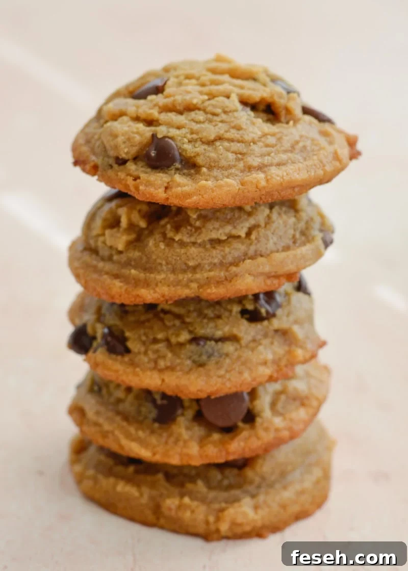 These flourless peanut butter cookies are packed with dark chocolate chips and perfectly soft and chewy. Naturally gluten-free, and about 3 net carbs each!