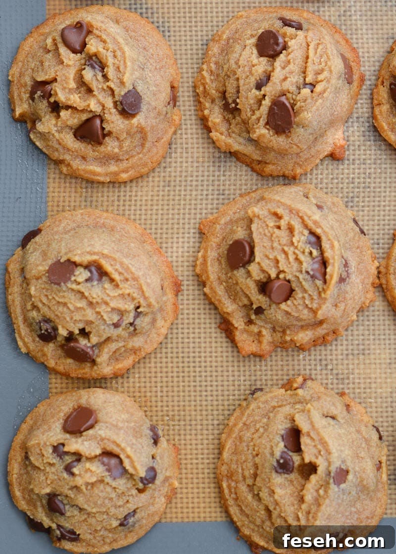 These flourless peanut butter cookies are packed with dark chocolate chips and perfectly soft and chewy. Naturally gluten-free, and about 3 net carbs each!