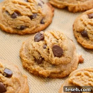 These flourless peanut butter cookies are packed with dark chocolate chips and perfectly soft and chewy. Naturally gluten-free, and about 3 net carbs each!