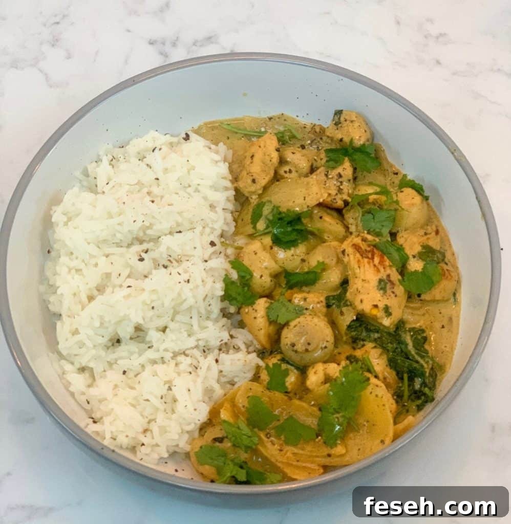 Slimming World Easy Chicken Curry
