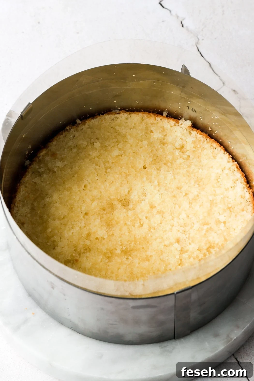 bottom layer of genoise brushed with simple syrup