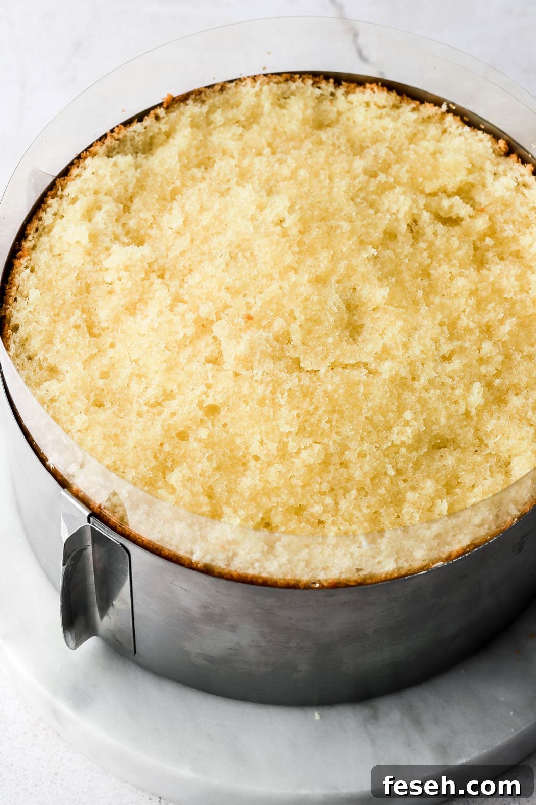 place second half of genoise on top and brush with simple syrup
