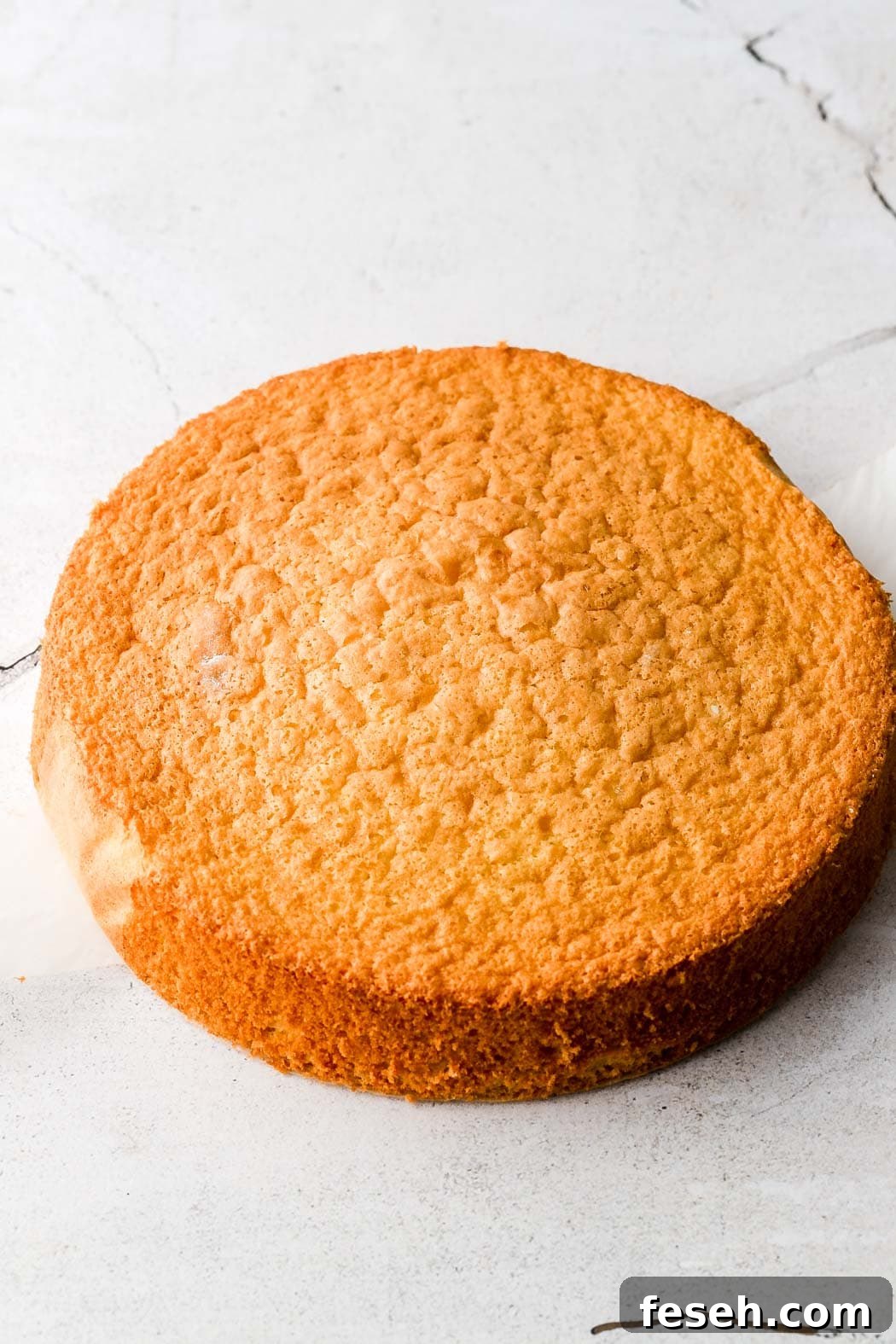 baked genoise, get's sliced in half