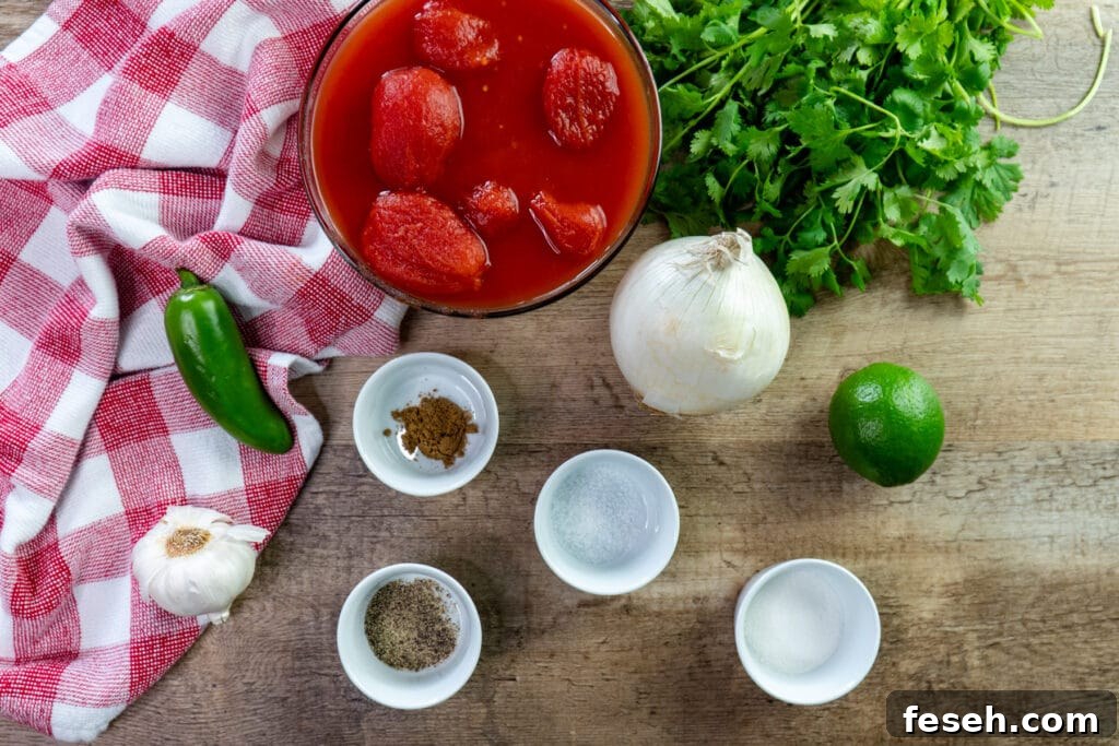 Ingredients to make homemade salsa in a blender.