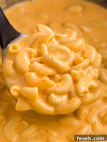 Close up of a spoonful of crockpot Velveeta mac and cheese with tender elbow macaroni covered in thick melted cheese sauce. The glossy texture shows how rich and creamy the dish is.
