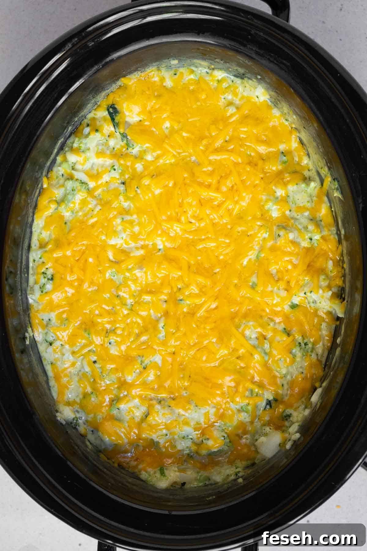 The cheddar cheese is melted.