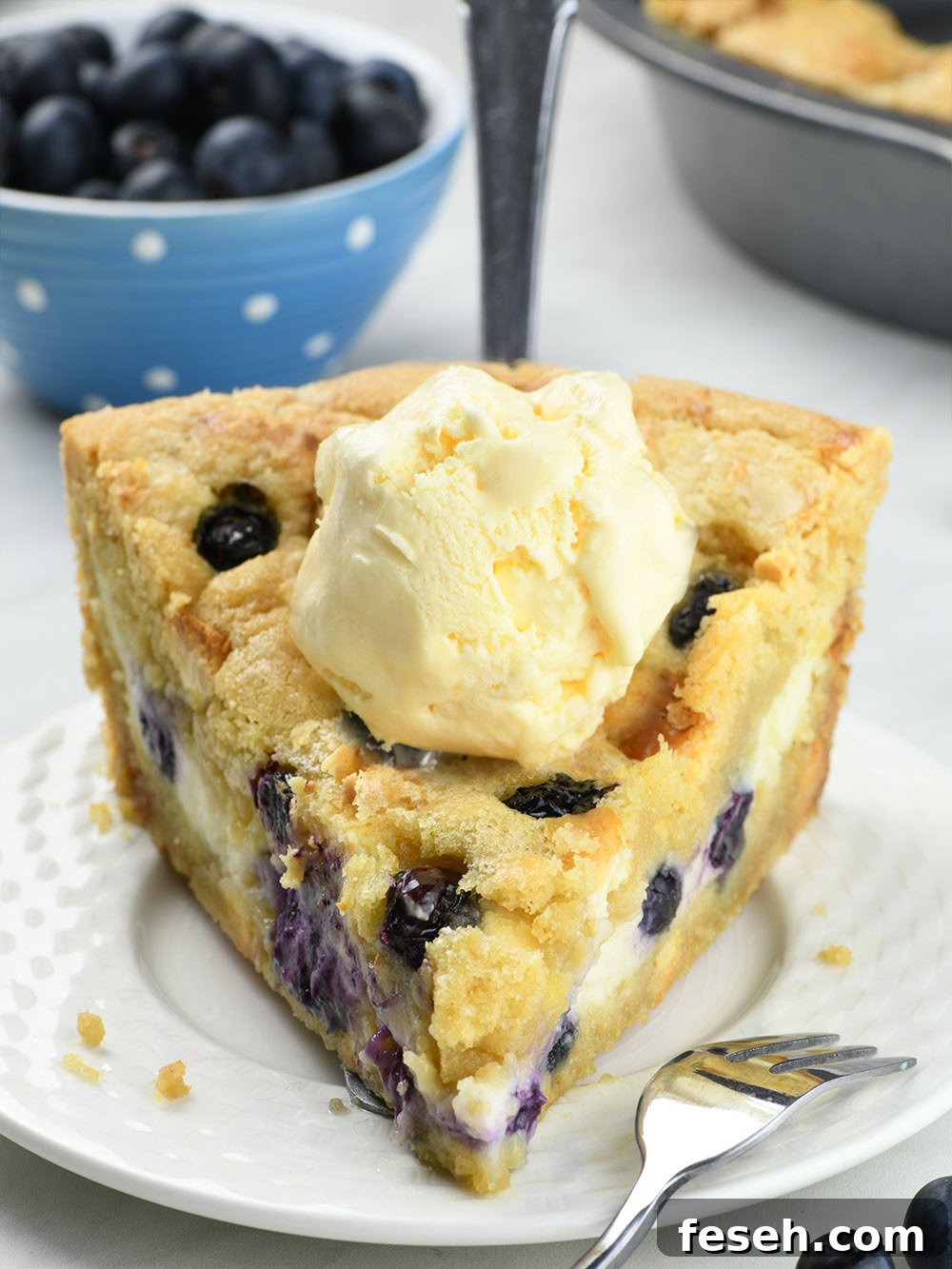 Blueberry Cheesecake Cookie Pie served with a ice cream.