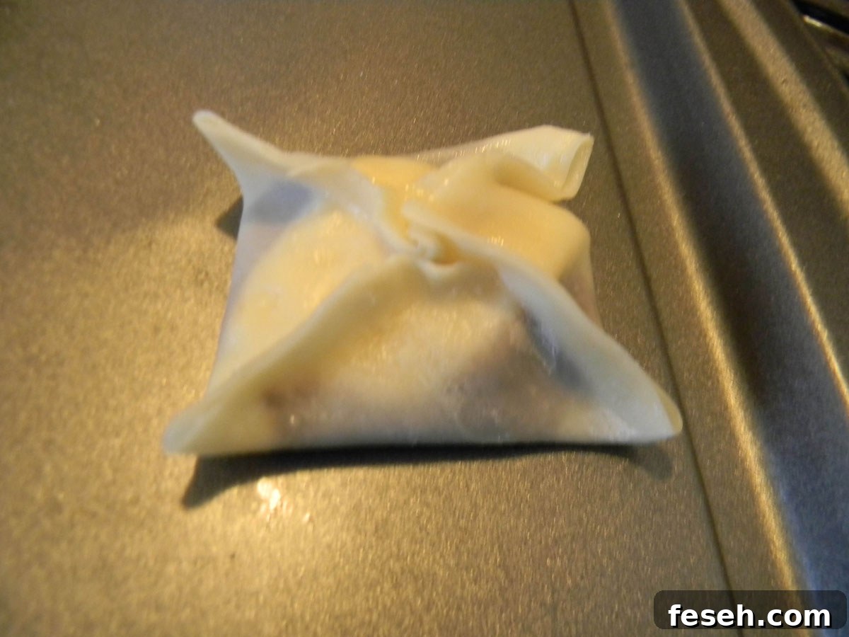 Nutella Banana Wonton Step 4