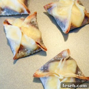Nutella Banana Wonton