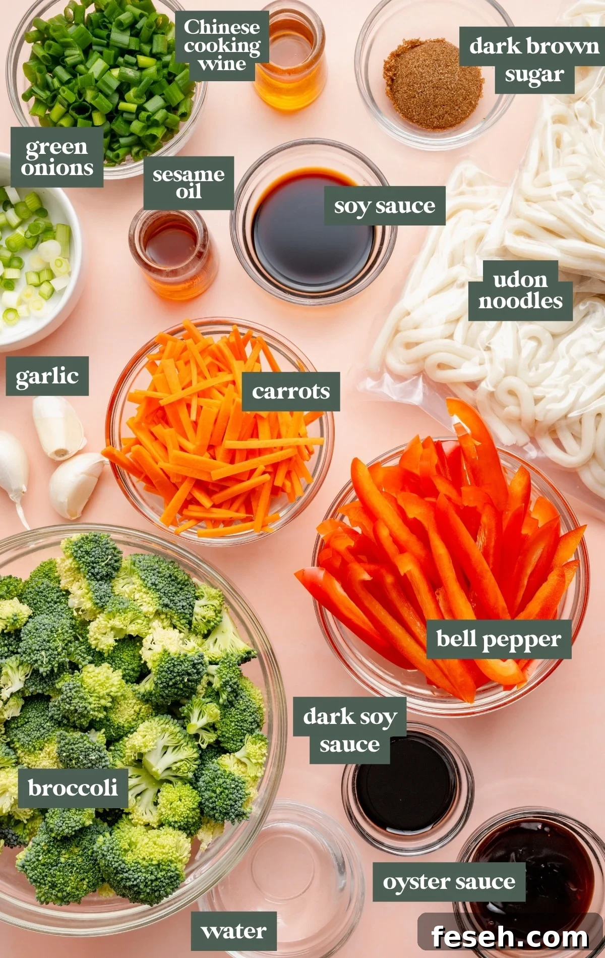 Overhead image of ingredients for sesame udon noodles arranged on a light surface