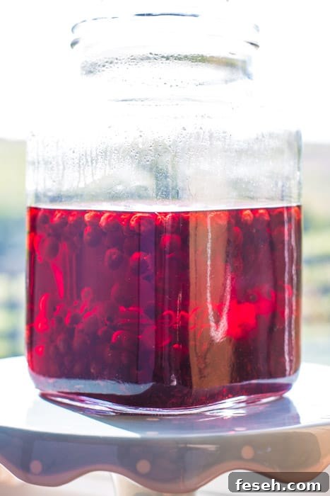 Jar of homemade cassis with blackcurrants