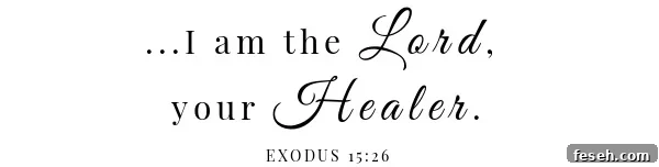 Skillet Pork Chops & Mustard Cream Sauce Scripture- Exodus 15: 26