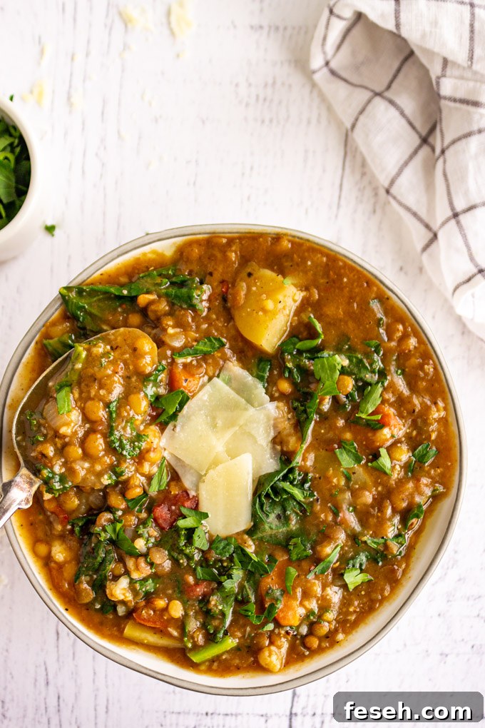 A bowl of lentil soup with a spoon in the bowl, on a white background.