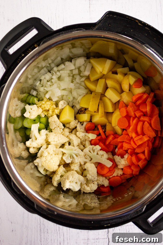 Chopped veggies in the instant pot.