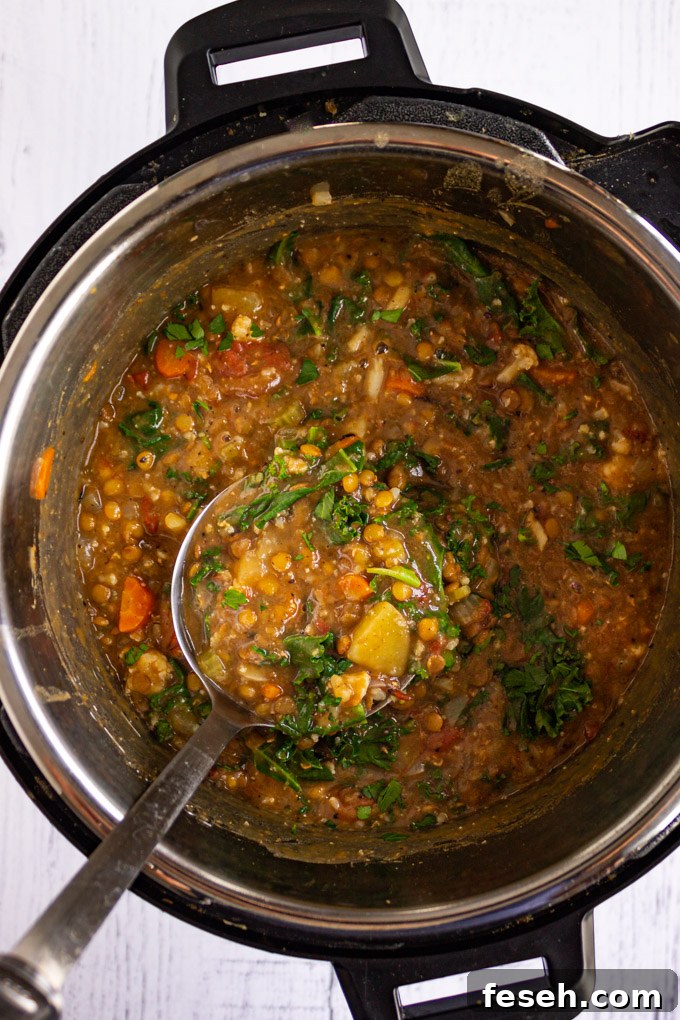 Lentil soup in the instant pot with a ladle spooning some out.