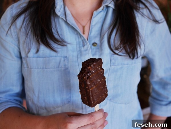 brownie pop thelittlekitchen.net