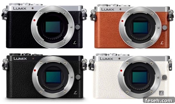 Panasonic Lumix DMC-GM1 Review thelittlekitchen.net