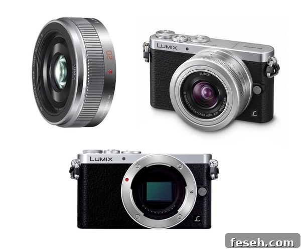 Panasonic Lumix DMC-GM1 Review thelittlekitchen.net