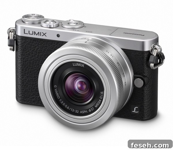 Panasonic Lumix DMC-GM1 Review thelittlekitchen.net