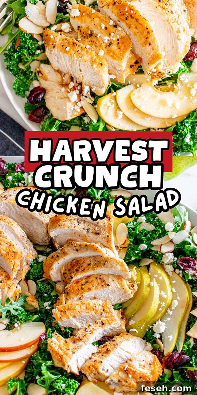 Harvest Crunch Chicken Salad with sliced chicken, apples, almonds, cranberries, and kale on a plate.