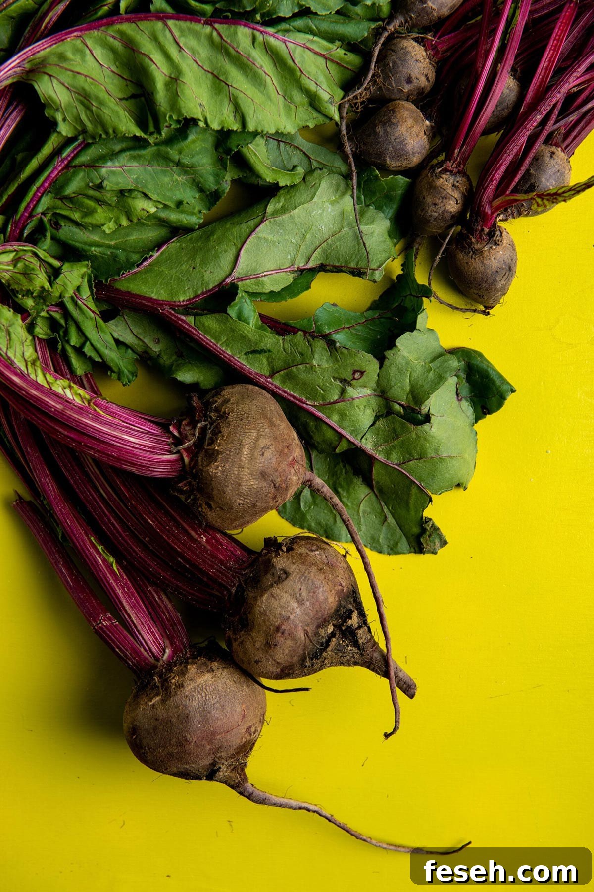 Fresh red beets and beet greens on yellow table.