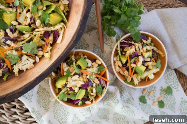 Thai Crunch Salad | Pamela Salzman