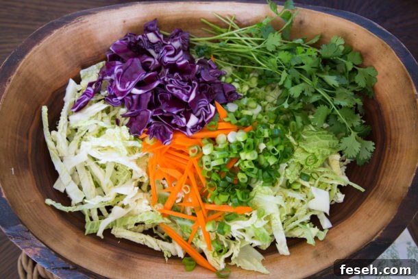 Thai Crunch Salad | Pamela Salzman