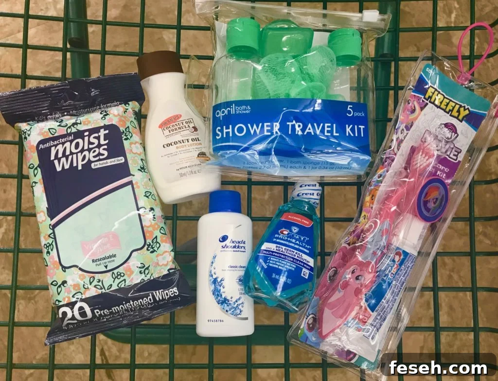 dollar store travel items