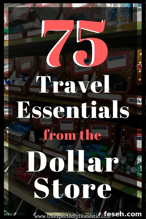 dollar store travel items