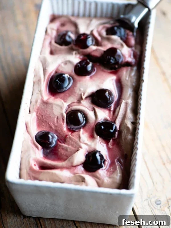 Cherry chocolate ice cream in an ice cream dish with an ice cream scoop at the side.