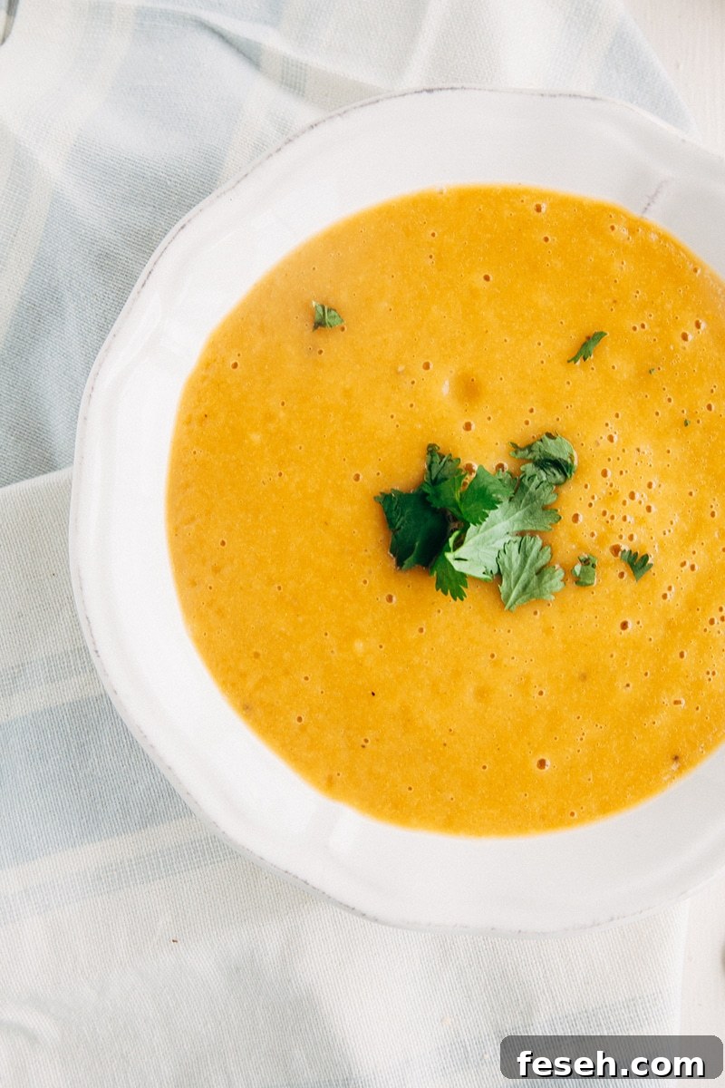 Carrot Coriander Soup (Vegan, Gluten-free, Paleo, Fat-free) 