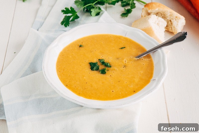Carrot Coriander Soup (Vegan, Gluten-free, Paleo, Fat-free) 