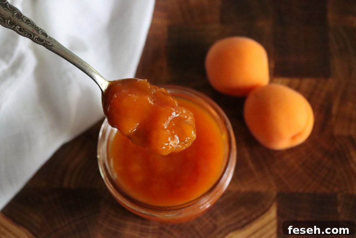 Apricot Jam Texture