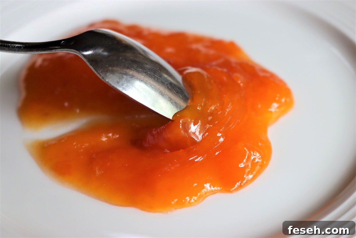 Apricot Jam Plate Test