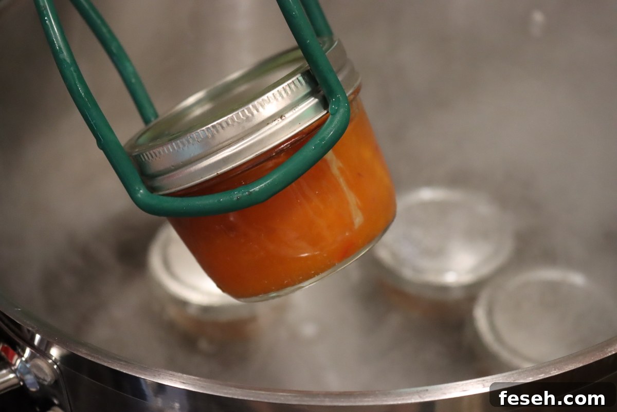 Canning Apricot Jam