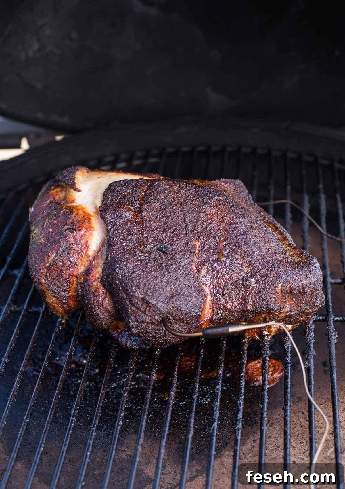 pork butt on the grill