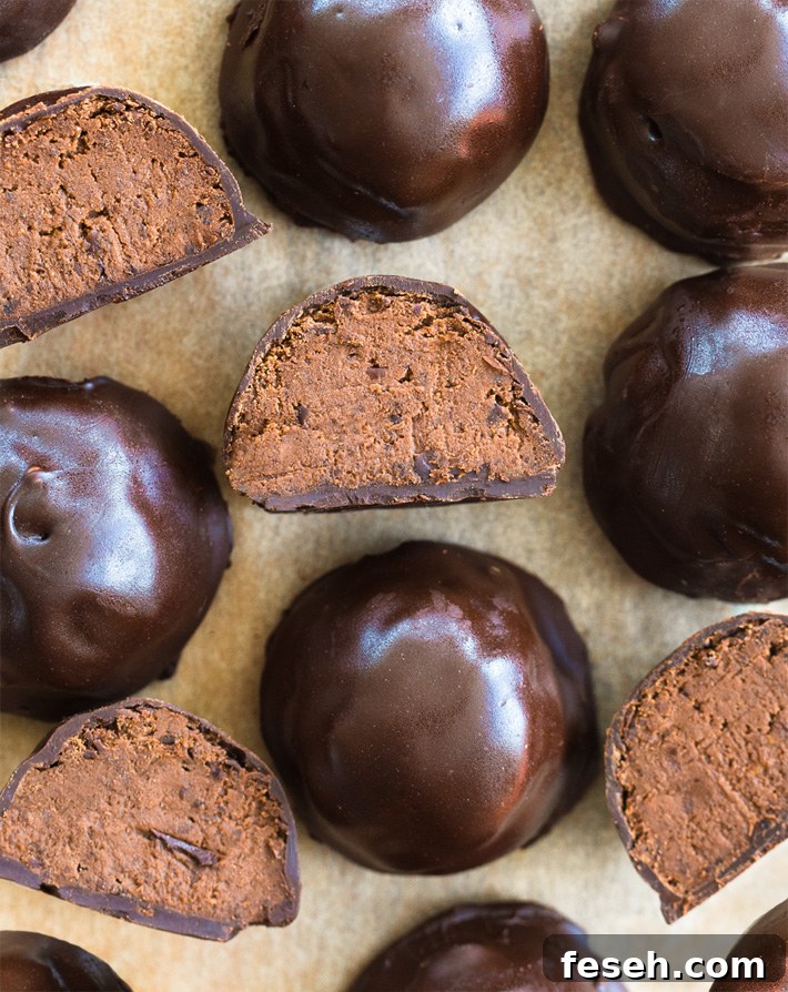 Low Calorie Healthy Chocolate Protein Snack Balls