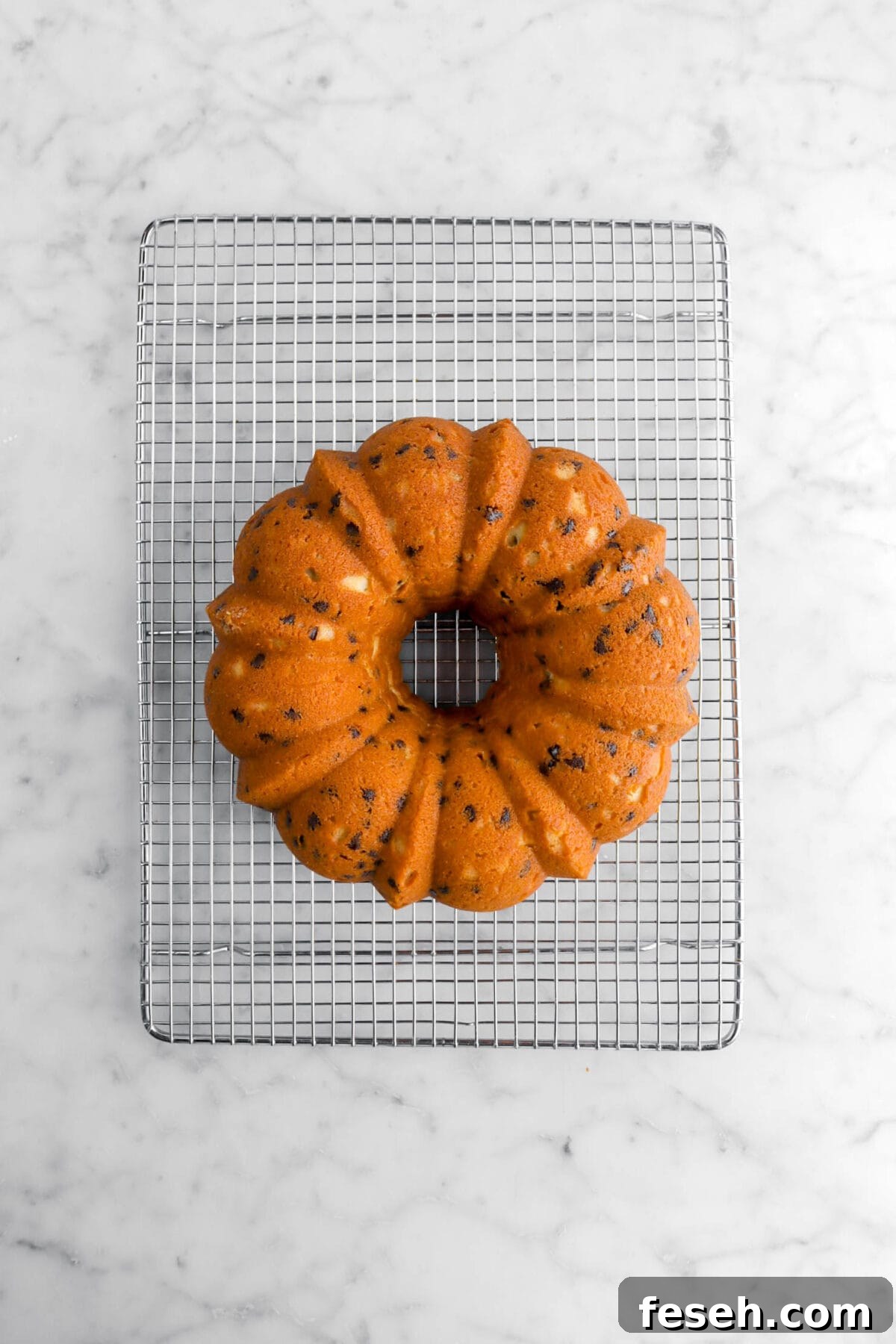 overhead shot of chocolate chip bundt cake on wire cooling rack.