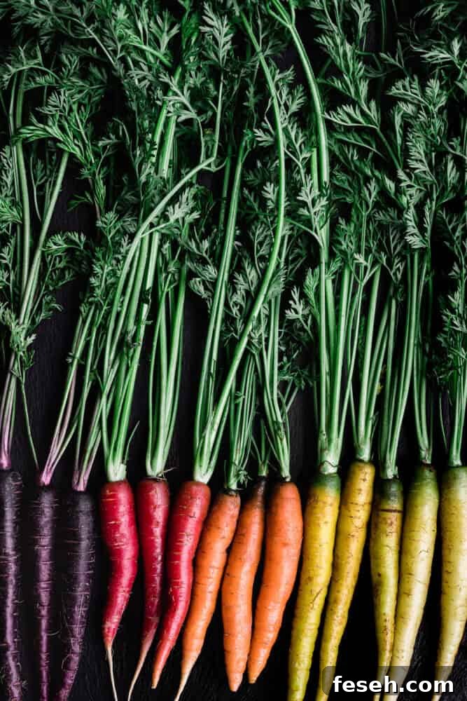 rainbow carrots - purple, red, orange yellow and white carrots with their green leafy tops still on.