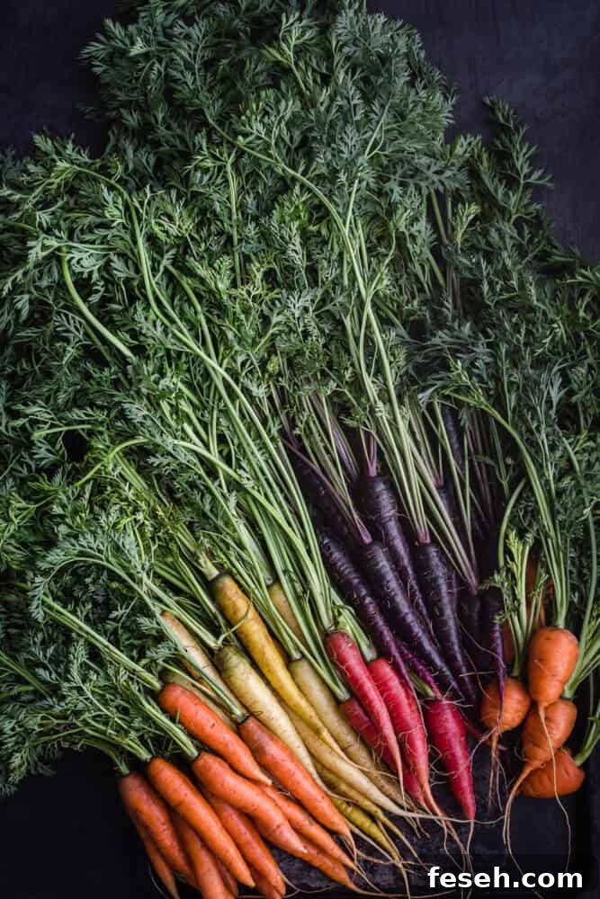 Rainbow carrots - purple, red, orange, yellow and white carrots with their leafy green tops on a dark background.