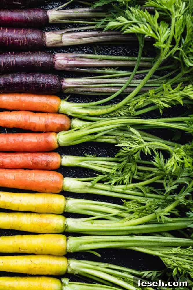 a rainbow carrot row - purple, orange and yellow carrots.