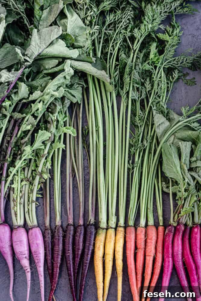 A root veggie rainbow - purple and hot pink radishes and purple, orange and yellow carrots with their leafy green tops still on - on a grey background.