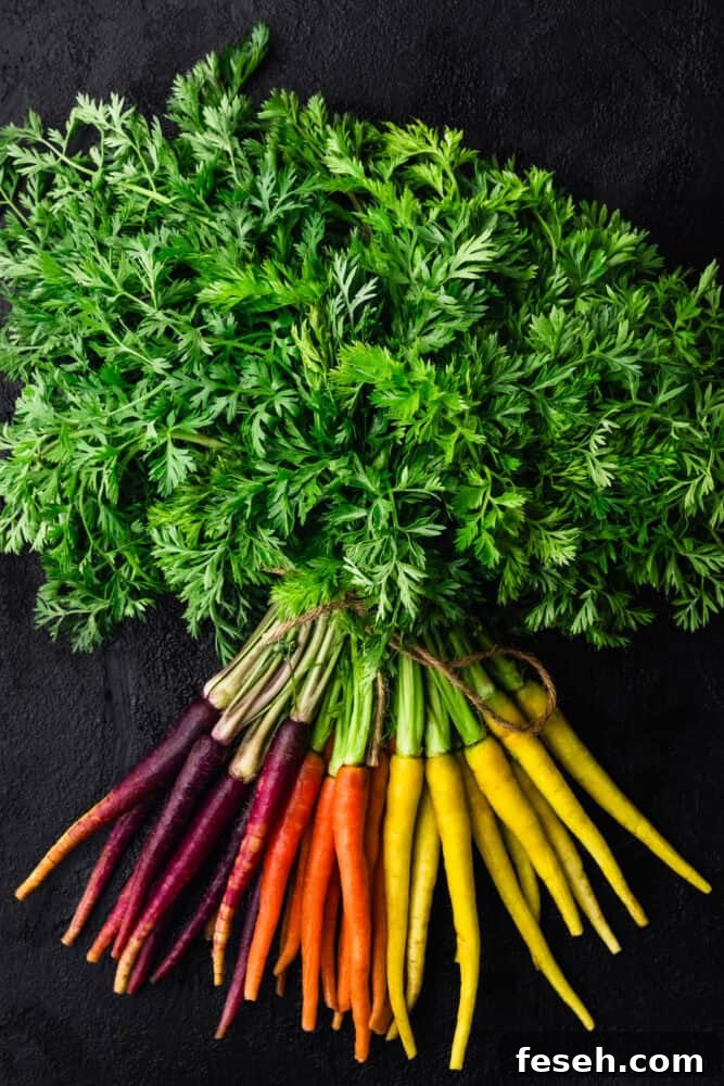 bunch of rainbow carrots tied together, with their leafy tops still on tied together with twine, on dark background.