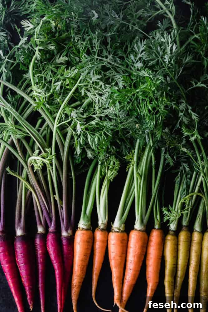 Red, orange and yellow carrots with their leafy green tops still on.