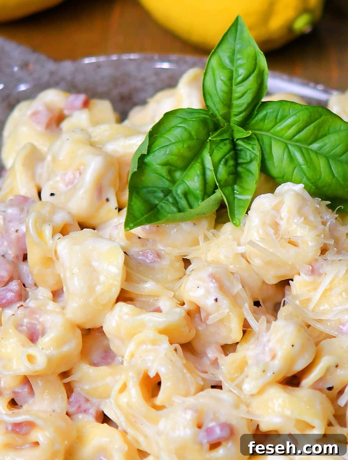 Tortellini Alla Panna Creamy Pasta by Christian Guzman